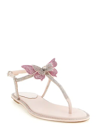 René Caovilla Rene Caovilla Fairy Pink Flat Sandal 10 In Neutral