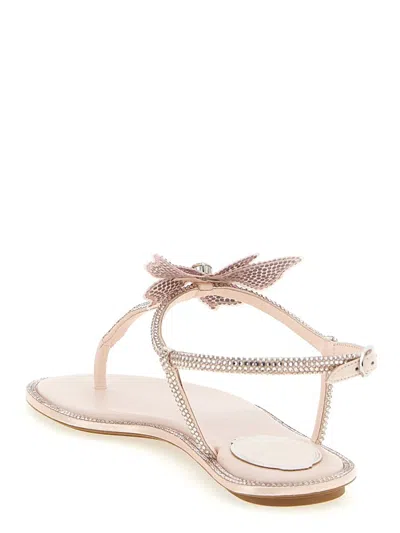 René Caovilla Rene Caovilla Fairy Pink Flat Sandal 10 In Neutral