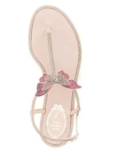 René Caovilla Rene Caovilla Fairy Pink Flat Sandal 10 In Neutral