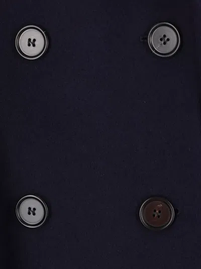 Chloé Coats In Blue