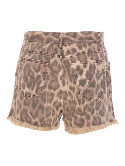 Aniye By Leopard-print Shorts