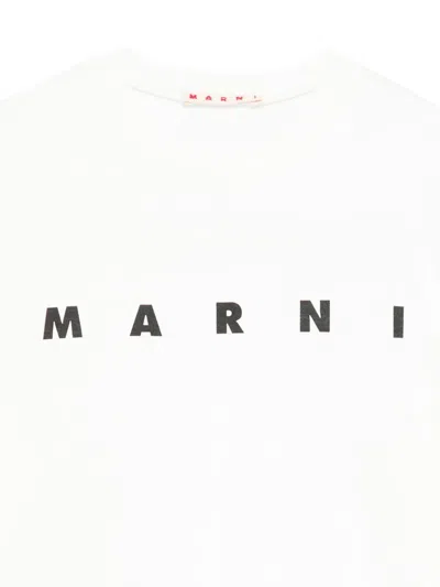 Marni Logo-print Cotton T-shirt In White