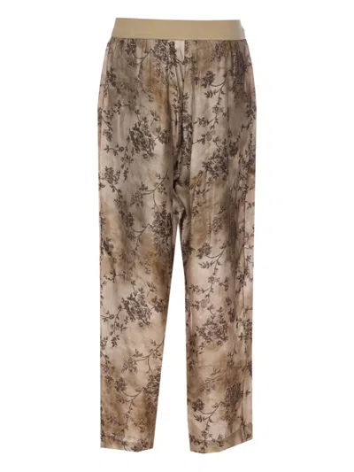 Uma Wang White And Grey Palmer Pants In Brown