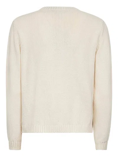 Weekend Max Mara Crab-motif Knitted Sweater In Neutral
