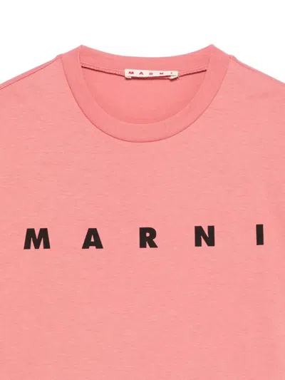Marni Logo-print Cotton T-shirt In Pink
