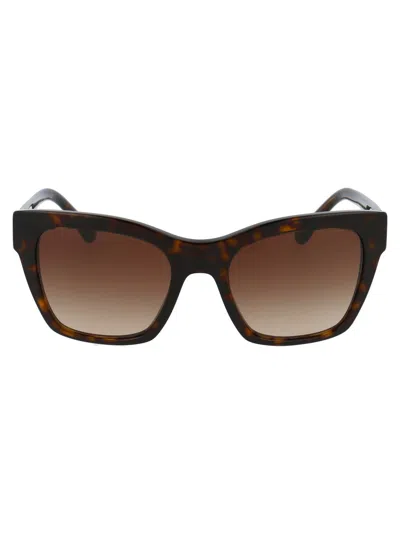 Dolce & Gabbana Havana Acetate Sunglasses In Brown