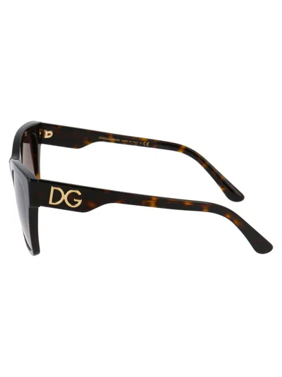 Dolce & Gabbana Havana Acetate Sunglasses In Brown