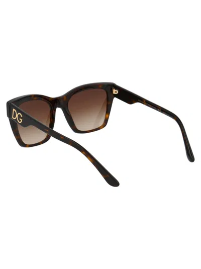 Dolce & Gabbana Havana Acetate Sunglasses In Brown