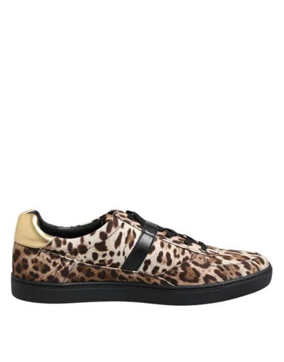 Dolce & Gabbana Brown Leopard Logo Print Cotton Sneakers Shoes In Animal Print
