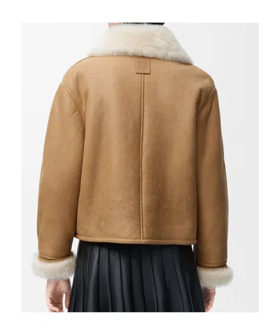 Loewe Shearling Jacket With Faux Fur Collar In Brown