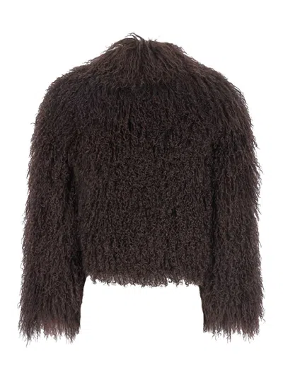 Plain Tibet Fur Short Jacket In Gray
