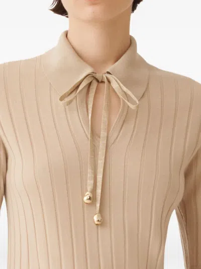 Fabiana Filippi Ribbed-knit Polo Neck Top In Brown