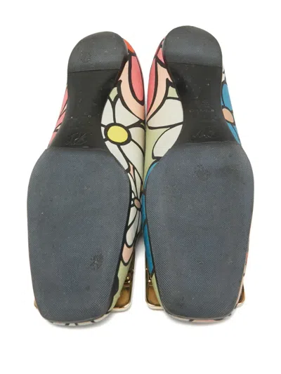 Pre-owned Roger Vivier Vintage  Floral-print Buckled Flats In Neutral