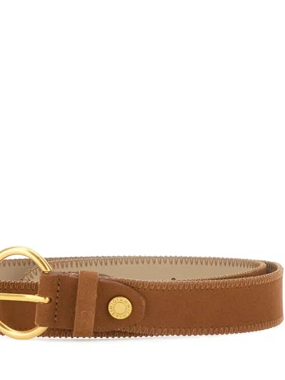 Gianni Chiarini Buckled Suede Belt In Brown