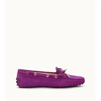 Tod's Gommino Driving Shoes In Suede