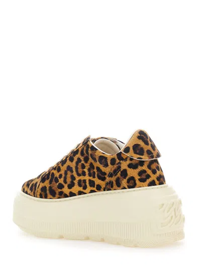 Casadei Sneaker Malesia In Brown