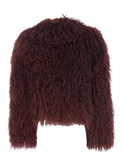 Plain Tibet Fur Short Jacket
