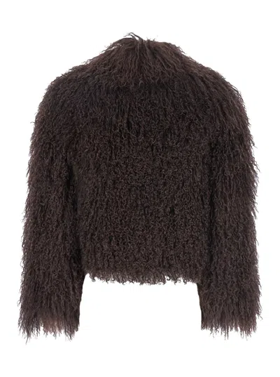 Plain Tibet Fur Short Jacket In Gray