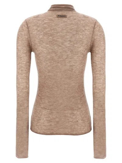 Pinko 'moss' Sweater In Brown