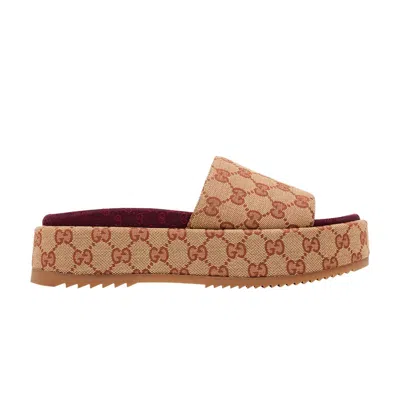 Pre-owned Gucci Wmns Gg Slide Sandal 'monogram - Beige Brick Red' | Brown | Women's Size 34