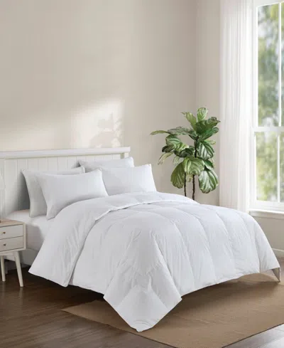 Avocado 600 Fill Power Down Comforter, Queen