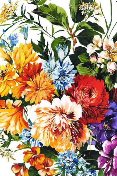 Dolce & Gabbana Floral-print Scarf