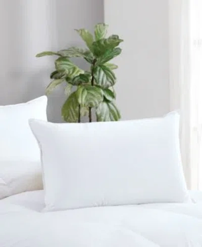 Avocado 100 Cotton Cover Down Pillow