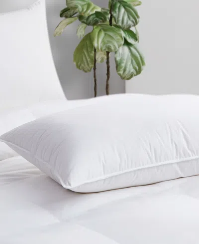 Avocado 100% Cotton Cover Down Pillow, Queen