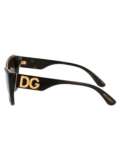 Dolce & Gabbana Sunglasses In Brown