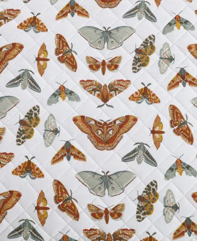 Eddie Bauer Wilford Butterfly Cotton Reversible 2-pc. Quilt Set, Twin