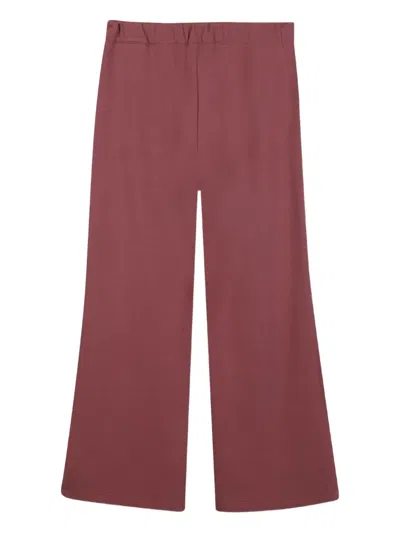 Chloé Pleat-detail Trousers In Purple