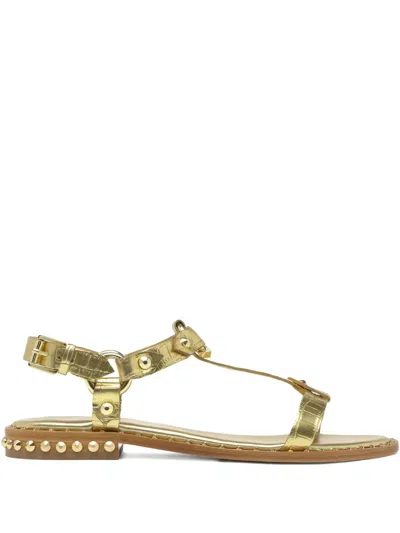 Ash Patsy Bis Studded Leather Sandals In Burgundy