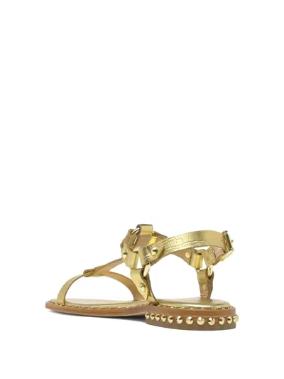 Ash Patsy Bis Studded Leather Sandals In Burgundy