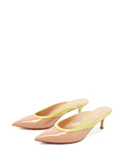 Pre-owned Gianvito Rossi Pointed-toe Mules