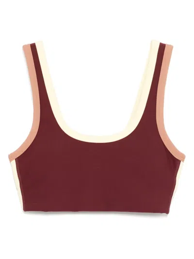 The Upside Trail Harley Scoop Bra In Bordeaux In Burgundy