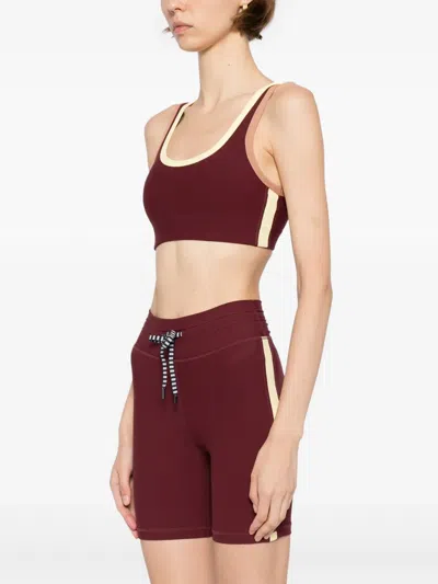 The Upside Trail Harley Scoop Bra In Bordeaux In Burgundy