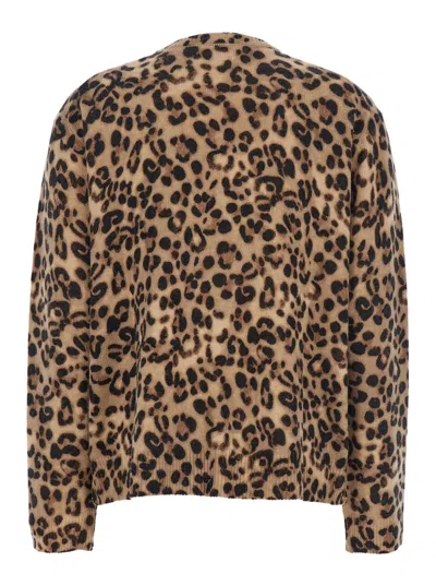 Semicouture Animalier Round Neck Pull