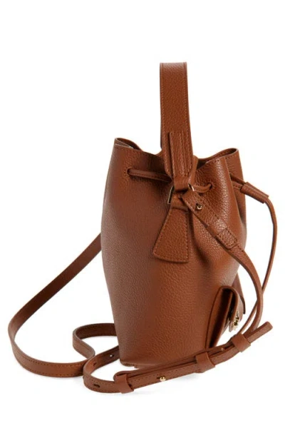Ferragamo Women Brown Crossbody Bag With Adjustable And Removable Shoulder Strap And One Top Flat Ha In Brown