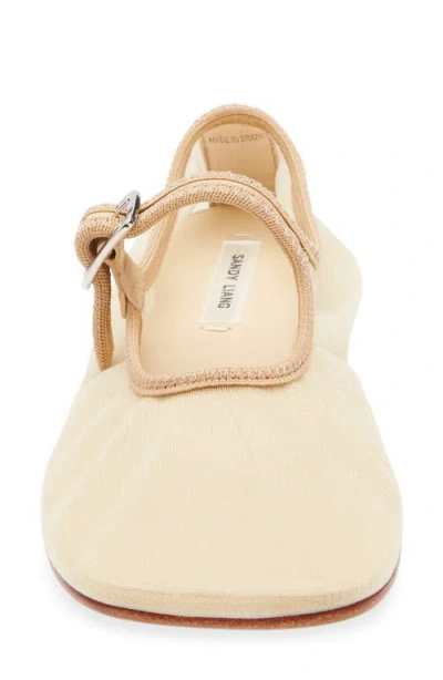 Sandy Liang Mesh Mary Jane Flat In Brown
