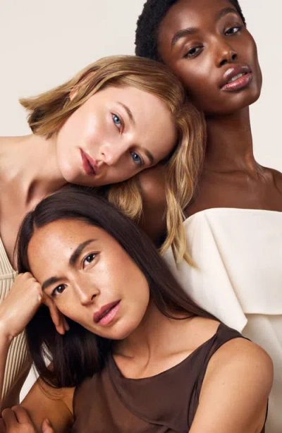 Chantecaille Future Skin Oil-free Foundation In Brown