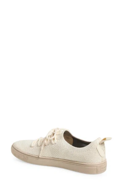 Yy Nation Cirrus Hemp & Wool Low Top Sneaker