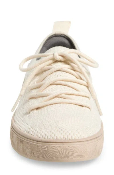 Yy Nation Cirrus Hemp & Wool Low Top Sneaker