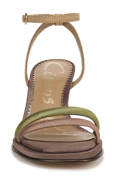 Circus Ny By Sam Edelman Holly Ankle Strap Sandal