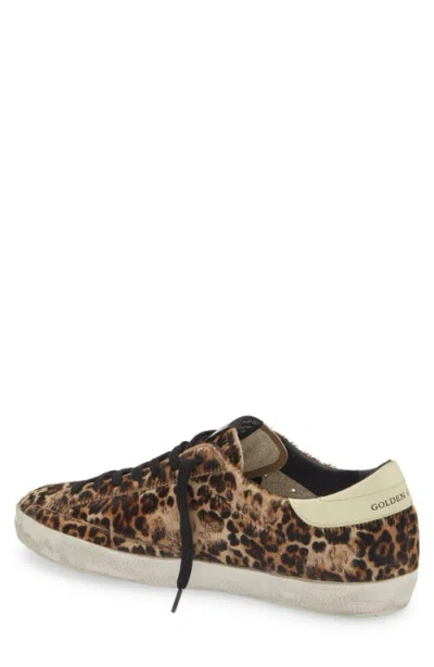 Golden Goose Super-star Leopard Print Genuine Calf Hair Sneaker