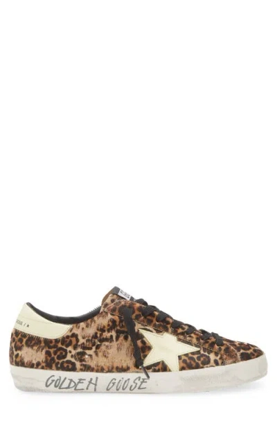 Golden Goose Super-star Leopard Print Genuine Calf Hair Sneaker