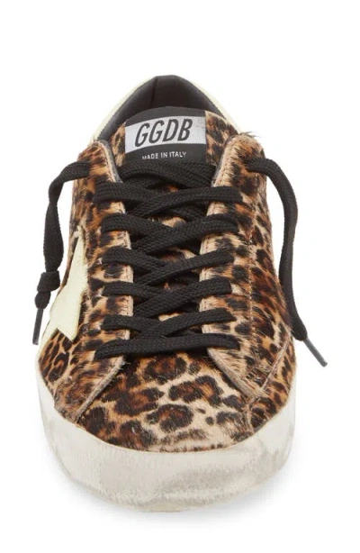 Golden Goose Super-star Leopard Print Genuine Calf Hair Sneaker