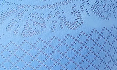 Wacoal Visual Effects Underwire Minimizer Bra In Blue