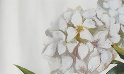 Dolce & Gabbana Printed Cotton Midi Skirt In Multi