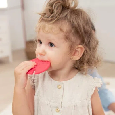 Miniland Feel To Learn Sensory Cactus In Green