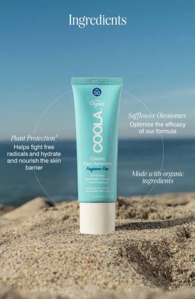 Coola ® Suncare Fragrance Free Classic Face Organic Sunscreen Lotion Spf 50 Duo $64 Value